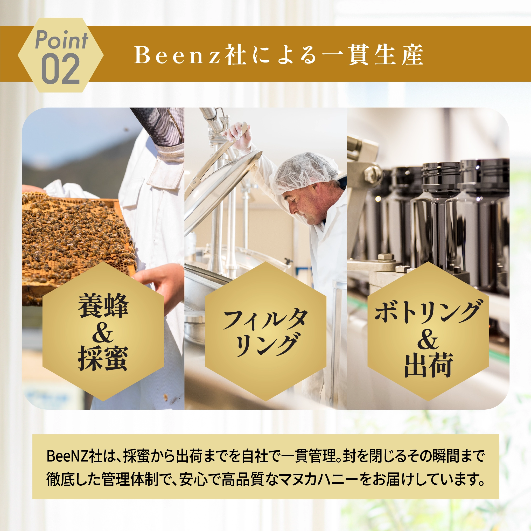 食べ比べセット【UMF5+/UMF10+】テスト
