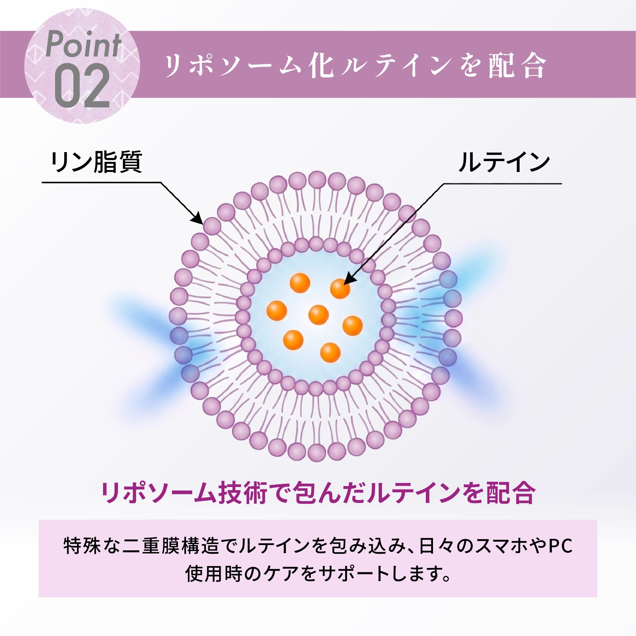 わたしのカシス