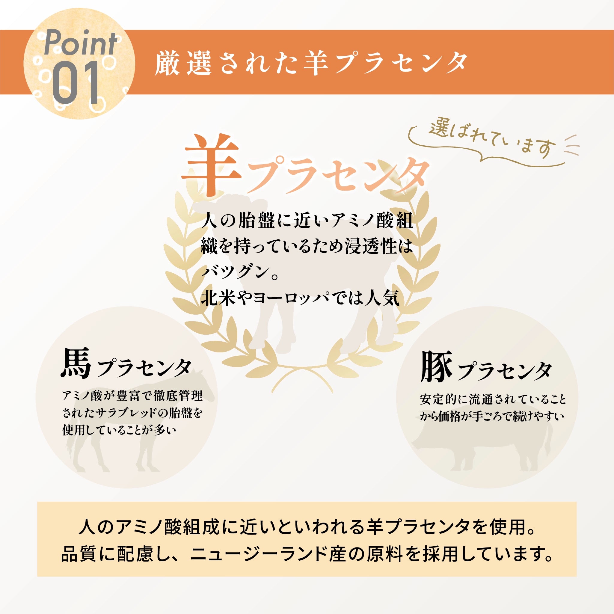 【定期購入】わたしのプラセンタ