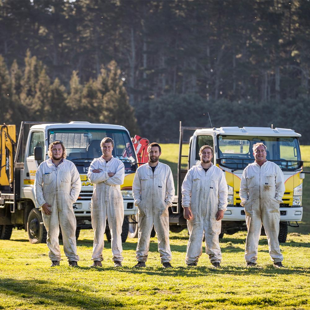 BeeNZ プレミアムマヌカハニー【UMF10+】3個まとめ買いセット